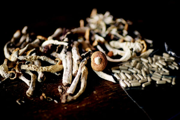 buy shrooms online